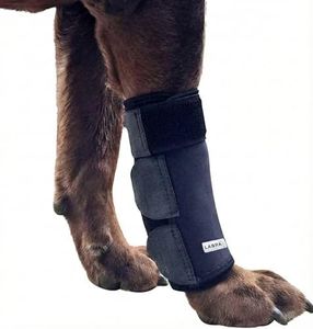 Labra Dog 