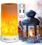 PDGROW LED Flame Lights with Remote Timer, Flame Lamp 4 Modes USB Rechargeable Fire Lights Indoor Campfire Outdoor Decorative Lantern Hanging Lamps Fireplace Romantic Light for Home Party Camping Bar