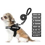 Service Dog Vest Harness and Leash Set, Animire in Training Dog Harness with 9 Dog Patches, Reflective Dog Leash with Soft Padded Handle for Small, Medium, Large, and Extra-Large Dogs (RED,L)