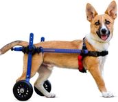 Dog Wheelchair - XS for Mini/Toy Breeds 2-10 Pounds - Veterinarian Approved - Dog Wheelchair for Back Legs