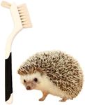Hedgehog Bath Supplies Kit - Soft Goat Hair Cleaning Brush - Perfect Hedgehog Grooming, Hygiene, and Care Essentials - Gentle Pet Bath Brush for Small Animals by Snout and Shell