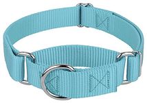 Country Brook Petz - Martingale Dog Collar - Heavy-Duty Training Collar with No Buckle - Service Dog Collar for All Pups - 20 Vibrant Colors (Ocean Blue, 1 Inch, Large)