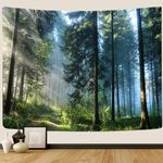 HASTHIP® Wall Tapestry, Morning Forest Landscape Tapestry Room Tapestry Wall Hanging Cloth for Room Decor Tapestry, 59''L×51''inch Fashion Forest Landscape Tapestry for Living Room, Bed Room, Dorm