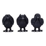 Nemesis Now Three Wise Ravens, Black, 8.7cm (B6023V2)