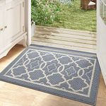 Entrance Rugs