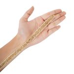 MS ZARIWALA - Katdana Nalki Lace for Saree's Border, Finetage Pipe in net Fabric Border Lace for Dresses, Sarees, Lehenga, Suits, Blouses, Dupatta, Chunri and Craft. (4.5 Meters). (Small Golden)