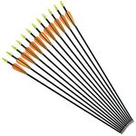 NIKA ARCHERY Fiberglass Arrows for Youth Practise Recurvebow Compound Bow Shooting 12X 26 inch