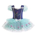 Lito Angels Ice Princess Anna Ballerina Costume Ballet Leotard with Tutu Dress for Kids Girls, Fancy Dance Wear Outfit Age 3-4 Years (Tag Number 110)