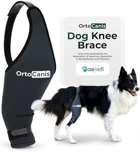 Ortocanis