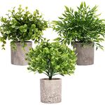 Decorative Artificial Plants in Pots Set of 3-Mini Potted Fake Plants in Pots,Plastic Eucalyptus Plants,Bamboo,Turtle Potted Faux Plants Indoor for Office Desk Coffee Table Wall Bedroom Decoration