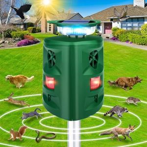 Solar Anim
