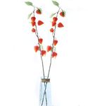 FURN ASPIRE Heart Shaped Chinese Lantern Exotic Flower for Home Decoration/Wedding Layout/Simulation Plant for Most Premium Décor