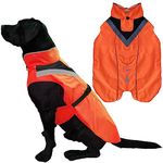 Lautus Pets Dog Rain Coat - Waterproof, Reflective, Bright Orange with Leash Hole (L, Orange)