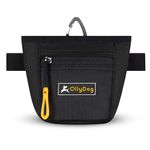 OllyDog Goodie Treat Bag, Waist Belt Clip for Hands-Free Training, Lightweight Easy to Wear Pouch, Magnetic Opening, Comfortable for Everyday Use, Three Ways to Wear (Raven)