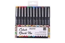 BRUSTRO Colour Brush Pens Set of 12 (Pigment based, Hard tip brush pen) Flexible tip for lettering and drawing techniques.