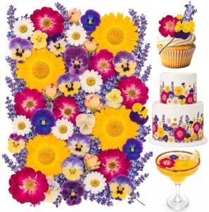 70 Pcs 11kinds Edible Dried Pressed Flowers for Cocktails & Cake Decorating – Food Grade Flowers for Drinks, Garnish & Crafts (Viola Tricolor,Rose,Lavender,Calendula,Daisy)