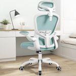 FelixKing Ergonomic Office Chair with Adjustable High Back, Breathable Mesh, Lumbar Support, Flip-up Armrests, Executive Rolling Swivel Comfy Task Computer Chair for Home Office (Light Blue)