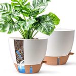 T4U Self Watering Pots 10 Inch 2 Pack, Plastic Planters with Water Level Window and Wick Rope for Busy People, Heavy Duty Floor Pot for Bird of Paradise and Monstera, Indoor Outdoor(White)