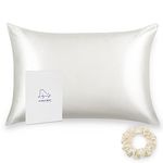 ALASKA BEAR - Natural Silk Pillowcase, Hypoallergenic, 19 momme, 600 thread count 100 percent Mulberry Silk, 50x66 cm with hidden zipper(1pc, Ivory White)