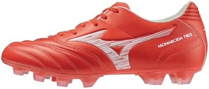 Mizuno Mon
