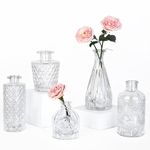 TBWIND Glass Bud Vase Set of 5, Small Clear Flower Vases for Centerpieces in Bulk, Mini Vintage Vase for Wedding Decor, Single Flowers, and Home Table Décor