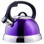 Mr. Coffee Flintshire Stainless Steel Whistling Tea Kettle W/Nylon Handle, 1.75-Quart, Metallic Purple