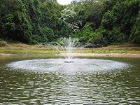 HQUA-FS02 120V, 1/4HP, OD(φ) 32” Large Pond Floating Fountain with 9000 GPH Fountain Pump, 100’ Power Cord, Two Spray Patterns 25'x6' and 13'×4'