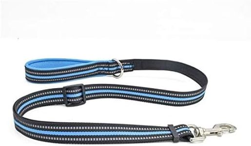 EZONEDEAL Strong Dog Leashes for Large Dogs Heavy Duty - Nylon Reflective Dog Lead Puppy Leash - Dog Training Leash Fit for All Type Dog Leads for Walking Puppy Training (Large, Blue)