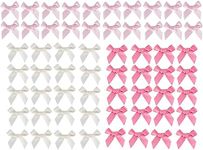 LuckyMoon 60 Pcs Small Satin Bows, Pink Series Ribbon Bows for Wedding Birthday Party Present Wrapping, Mini Decoative Bowknot Color Bow for DIY Crafts Sewing Card Making Embellishments