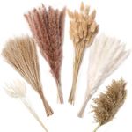 ZJTAPE Dried Pampas Grass 130 Pcs - Natural Dried Flowers Decoration Bouquet, Pampas Grass Fluffy Fronds, Reed Grass, Bunny Tails Bouquet for Wedding Table Living Room Vases Boho Home Decor