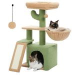 PAWZ Road Cactus Cat Tree With Scratching Pad and Big Hammock Cat Tower With Condo, Small Cat Tower Comfy Basket For Indoor Cats, 80cm Green