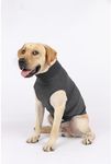 ODSSTAIPS Dog Anxiety Vest,Thunder 