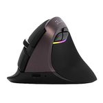 DELUX Rechargeable Silent Ergonomic Mouse, Wireless Vertical Mouse with BT 5.0 and Nano Receiver, 6 Buttons and 4000DPI, RGB Optical Mice for Laptop PC Computer (M618mini-Jet)