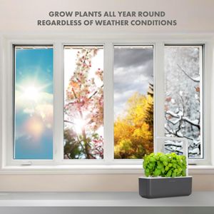 Click & Grow Indoor Herb Garden – Grey Self-Watering Planter
