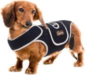 IVDD Dog Back Brace for Slipped and Herniated Discs - Back Brace for Dachshunds and Corgis, Ensuring Spinal Stability and Pain Relief S