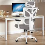 Winrise Office Chair Ergonomic Desk