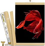 Magnetic Poster Hanger Frame – White Wood Magnetic Poster Frame – Magnet Picture Frame for Pictures, Scrolls, Posters, Prints and Canvas Artwork (16 inch, White Wood)