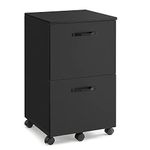 VASAGLE 2-Drawer Filing Cabinet, Mobile File Cabinet for Home Office, Small Rolling Filing Cabinet, Printer Stand, for A4, Letter-Size Files, Hanging File Folders, Matte Black OFC040B16