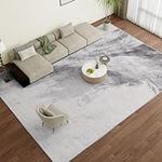 Vamcheer Washable Abstract Area Rug