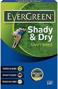 Evergreen Shady Lawn Grass Seed 14 sq m Carton