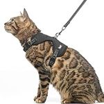 PUPTECK Cat Harness and Leash Set E