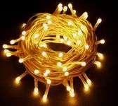 Lexton Lunar Decorative String Light/Fairy Light | 12.5 Meter, 75 LEDs | Plug Sourced | Suitable for Home & Outdoor Decoration, Diwali, Christmas, Wedding, Party, Lawn (Pack of 1, Yellow)