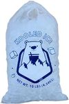 Ice Bags with Drawstring Heavy Duty Commercial Grade (10 lb Pack 500)