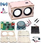 CYOEST DIY Bluetooth Speaker Box Kit Electronic Sound Amplifier - Build Your Own Portable Wood Case Bluetooth Speaker Sound - Science Experiment and STEM Learning for Kids, Teens and Adults