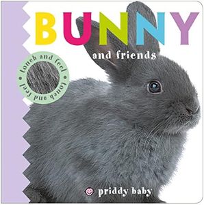 Bunny and Friends (Touch and Feel)