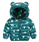 Happy Cherry Kids'Outdoor Recreation Jacket Winter Jacket Hooded Warm Snow Coat Cute Parka Outerwear Green 3-4 Years