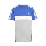 adidas Unisex Kids Tiberio 3-Stripes Colorblock Cotton Kids Short Sleeve T-Shirt, 13-14 Years