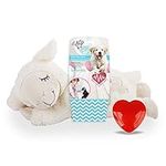 ALL FOR PAWS Heartbeat Dog Toy for 