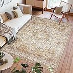 5x7 Area Rugs for Living Room Bedro