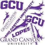 Desert Cactus Grand Canyon University Stickers Antelopes Vinyl Decals Laptop Water Bottle Car Scrapbook 11.42x8.98 Sheet T2 (Type 2)